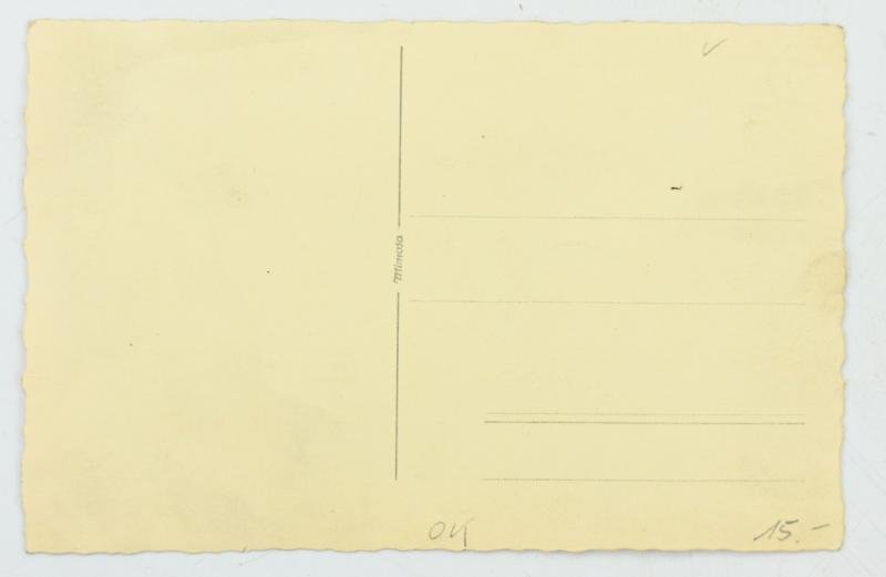 German Hitler Youth Portrait Picture — image 2