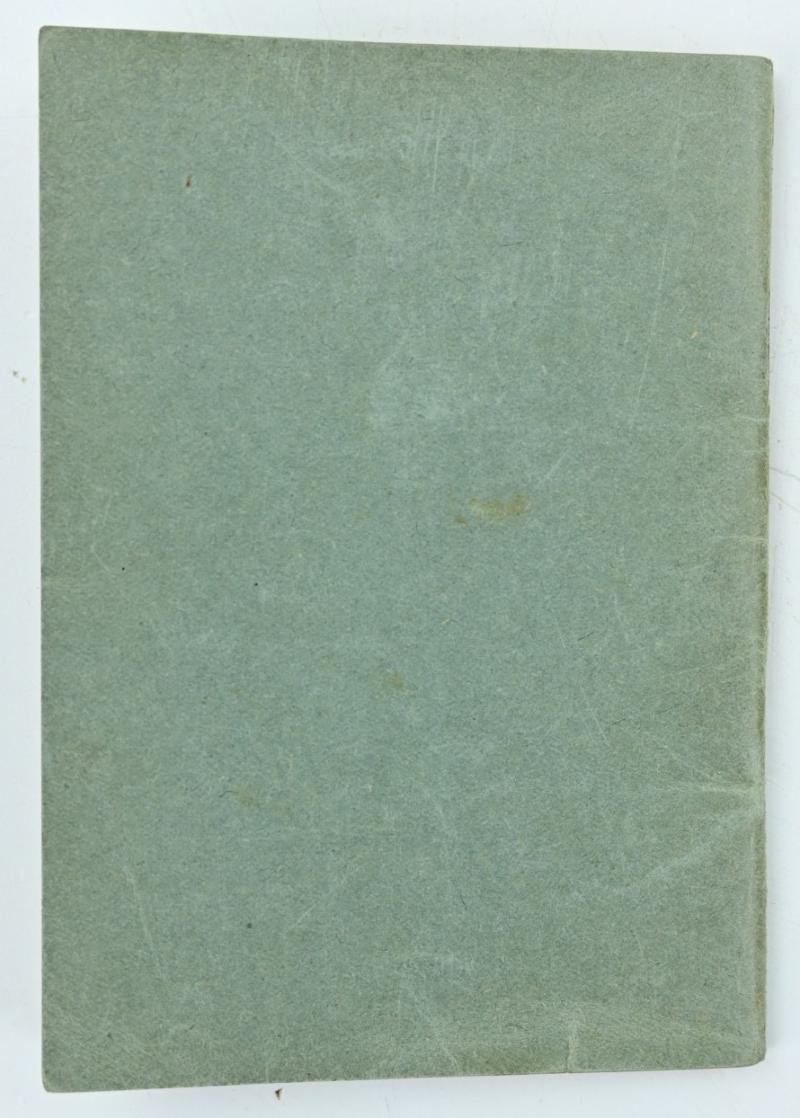 German Hitler Youth Leistungsbuch with insignia — image 11