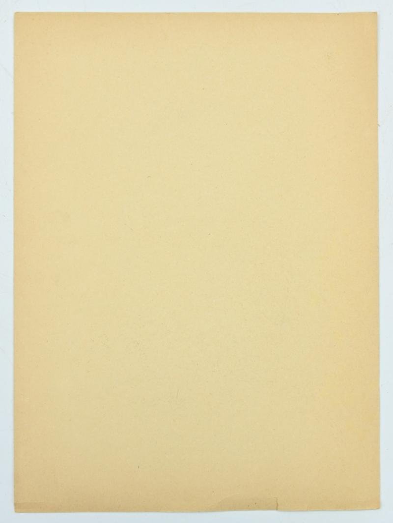 German Adolf Hitler Portrait Picture — image 4