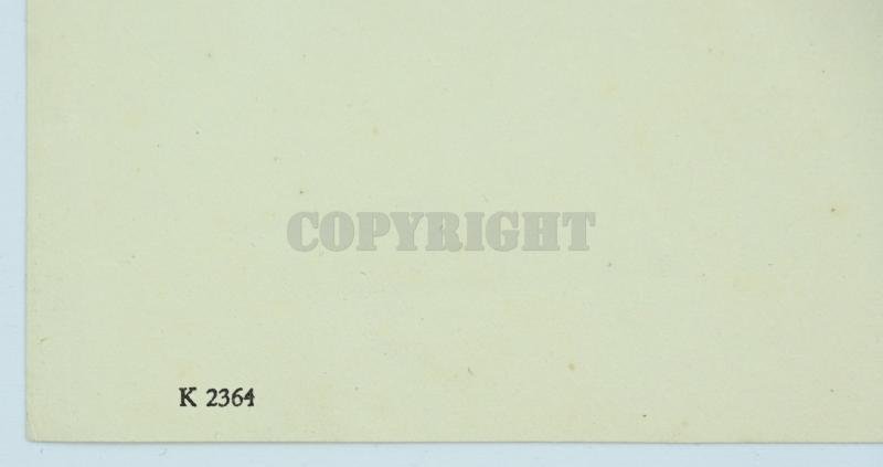 Dutch Waffen-SS KIA Letter 'Laurens Still' with extra — image 7