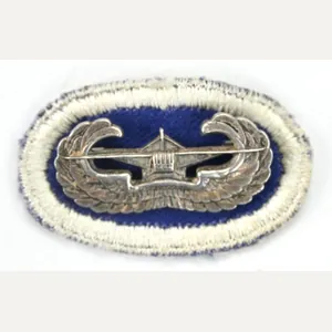 US WW2 82nd AIrborne Division 325th GIR Gliderwing with Oval