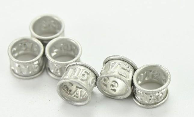 US WW2 Signal Corps Homing Pigeon Leg Band — image 5