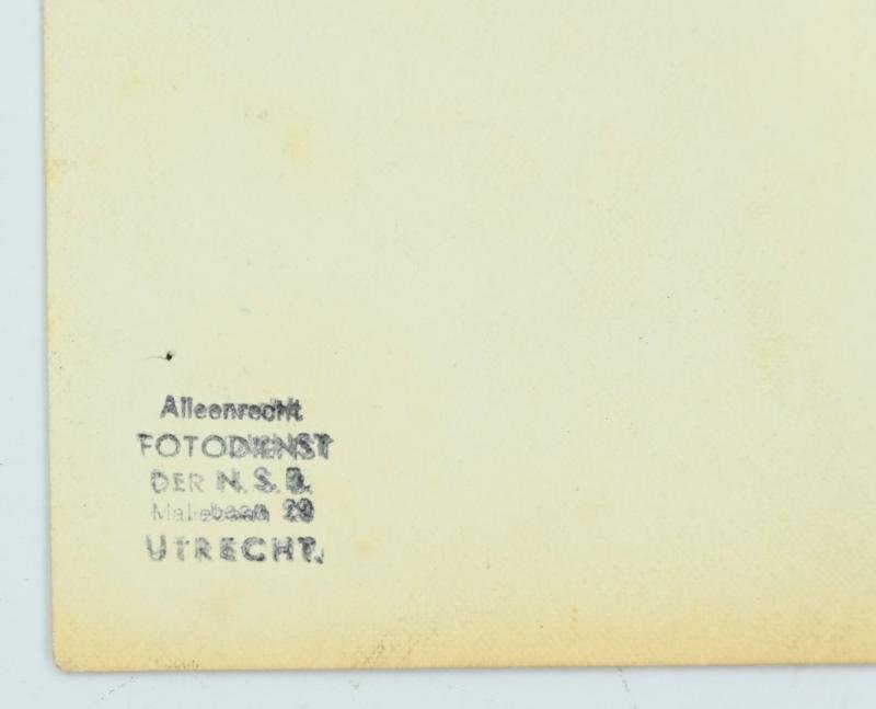 Dutch Waffen-SS Portrait Picture 'Gerardus Mooijman' — image 5