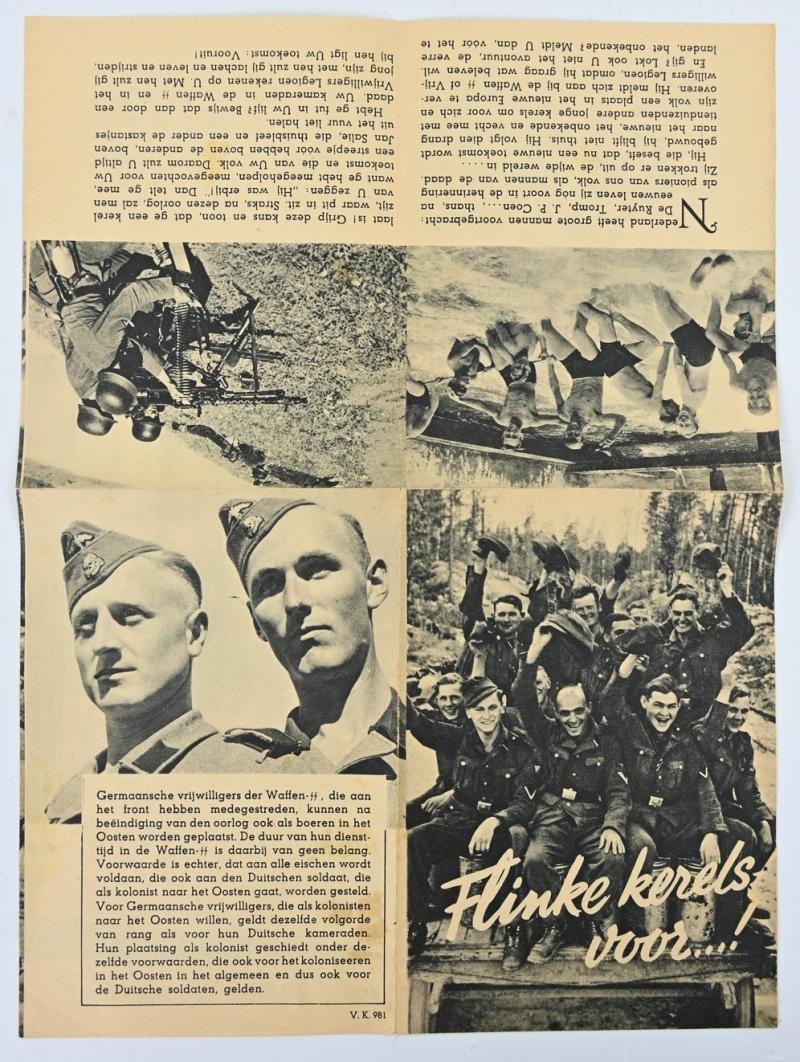 German Dutch Waffen-SS Recruitment Flyer — image 4