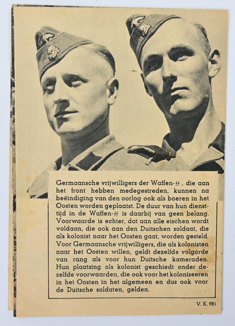 German Dutch Waffen-SS Recruitment Flyer — image 5