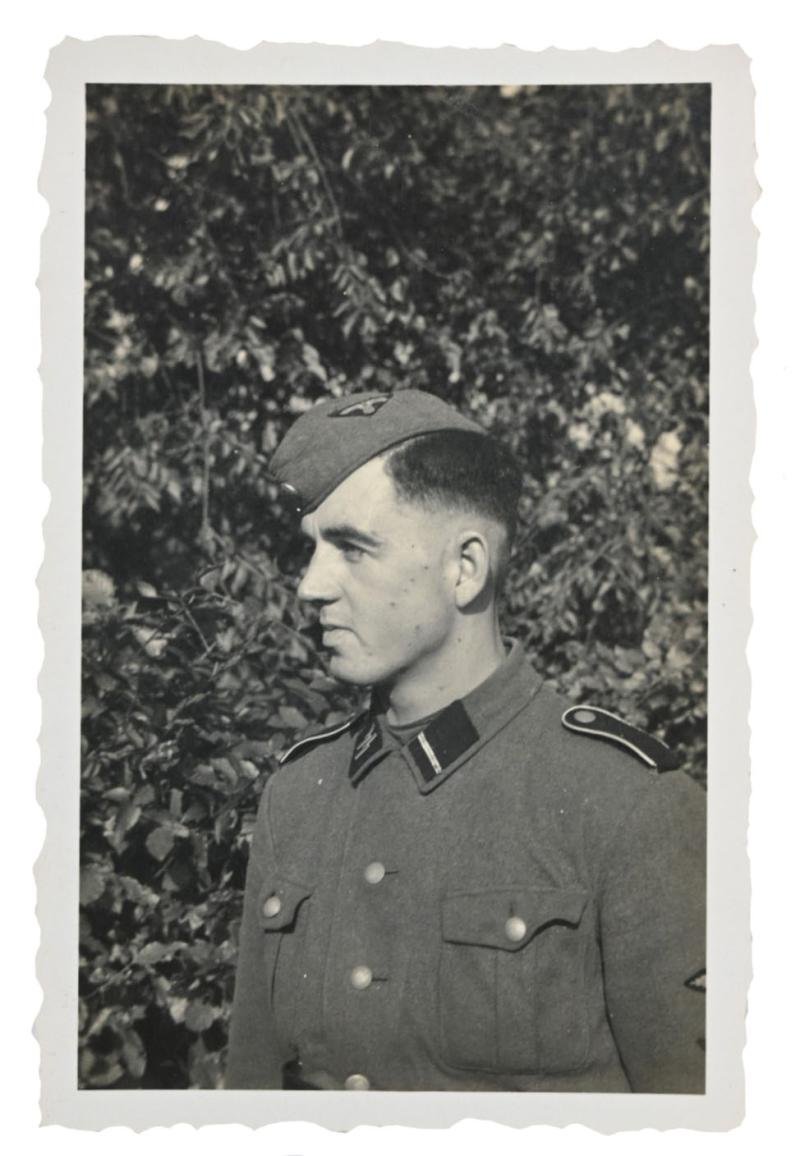 German SS-VT Picture Holland 1940