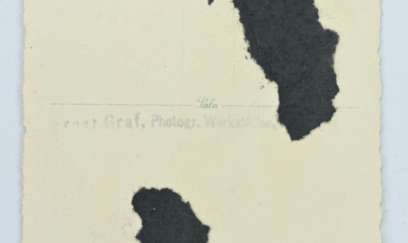 German LW Hermann Göring Regiment Portrait Picture — image 4