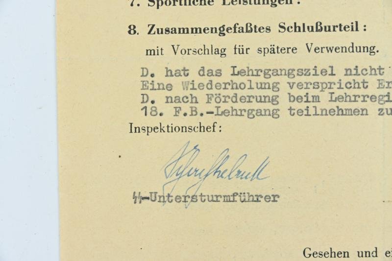 German Waffen-SS Personal Research File 'SS-Sturmmann Alfred Dreilich' — image 8