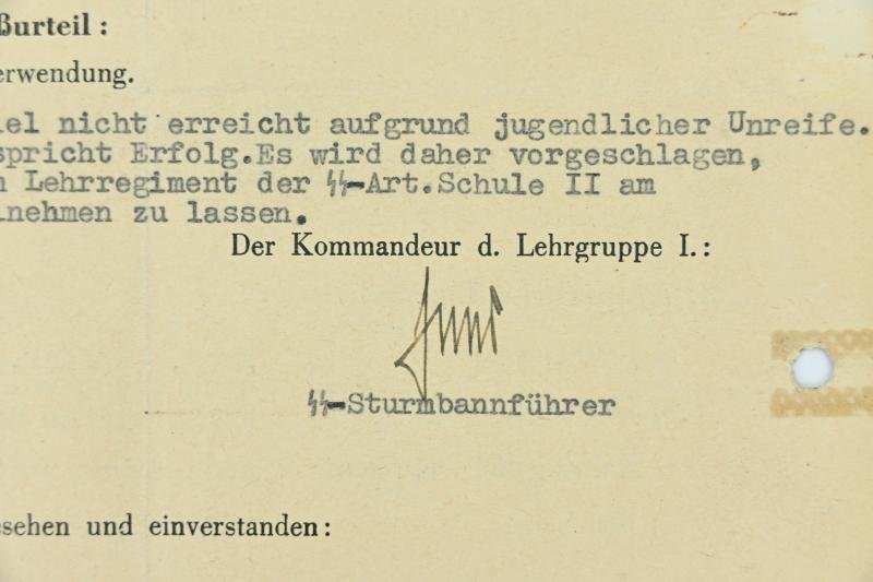 German Waffen-SS Personal Research File 'SS-Sturmmann Alfred Dreilich' — image 9