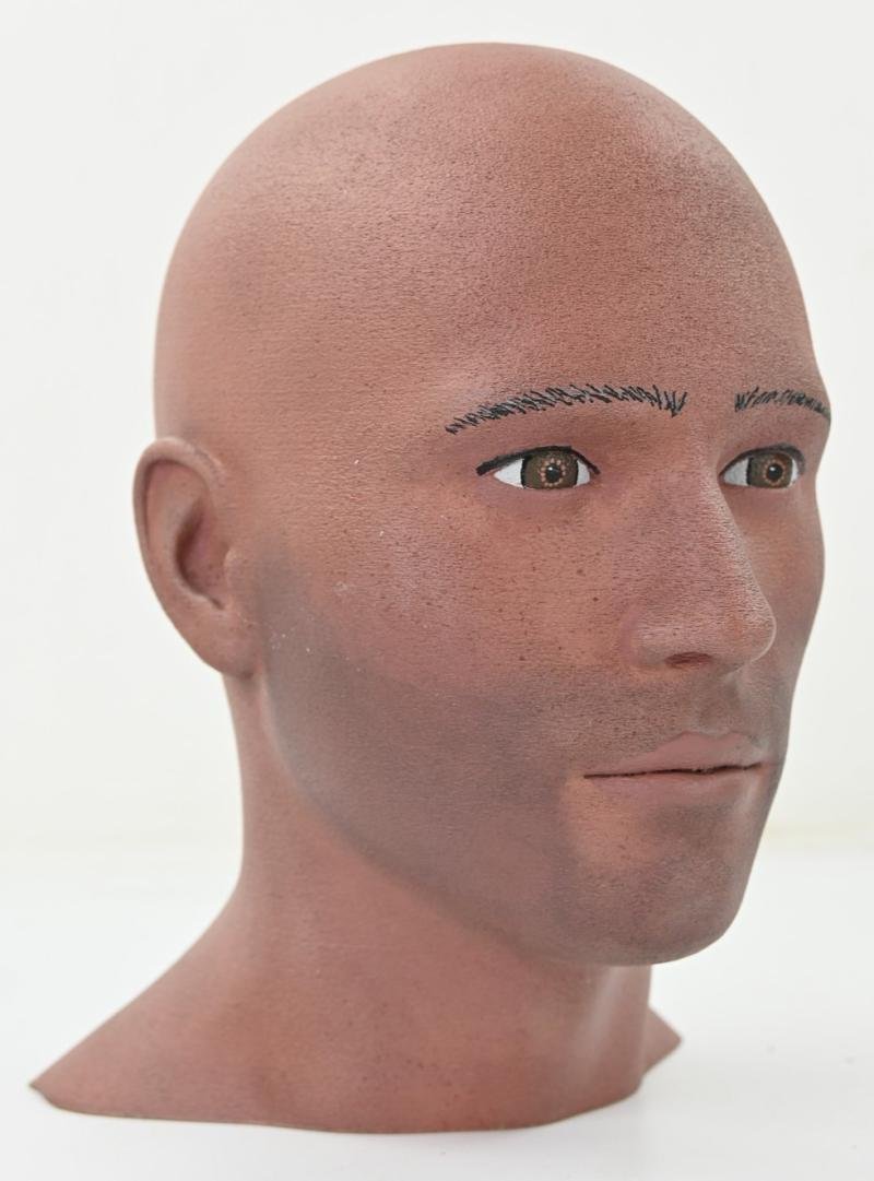 Display Head for headgear — image 6