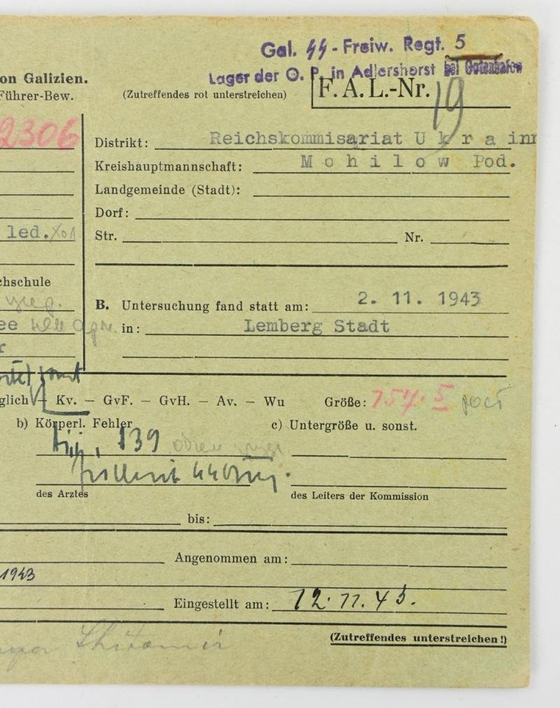 German Waffen-SS Member Document Division 'Galicia' — image 2