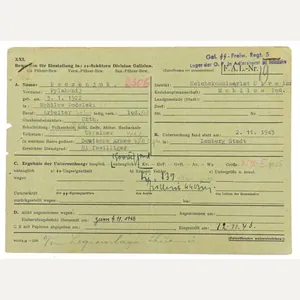 German Waffen-SS Member Document Division 'Galicia'