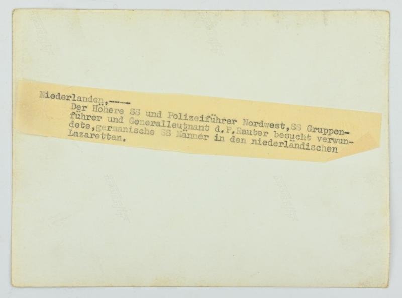 Dutch Waffen-SS Press Photo 'Rauter' — image 3
