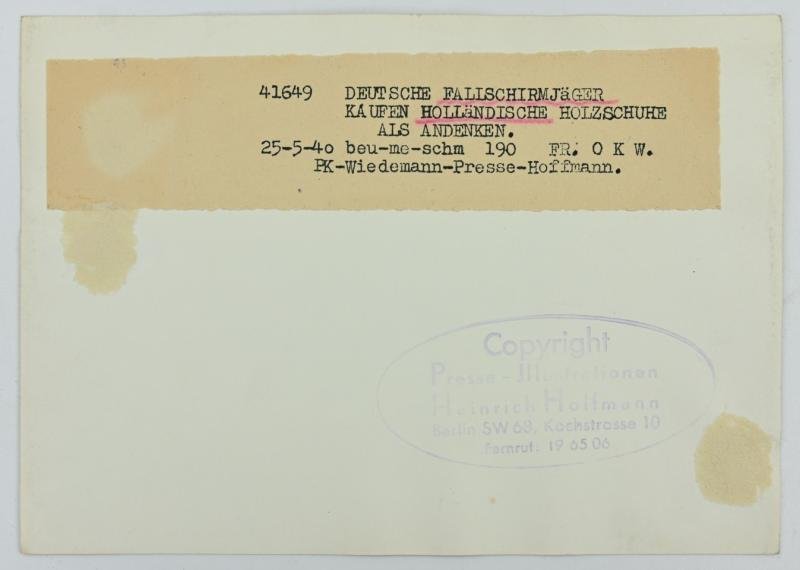 German LW FSJ Troop Picture in Holland — image 2