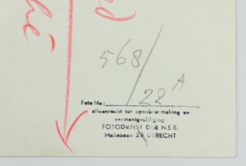 Dutch Waffen-SS Legion Picture 1941 — image 5