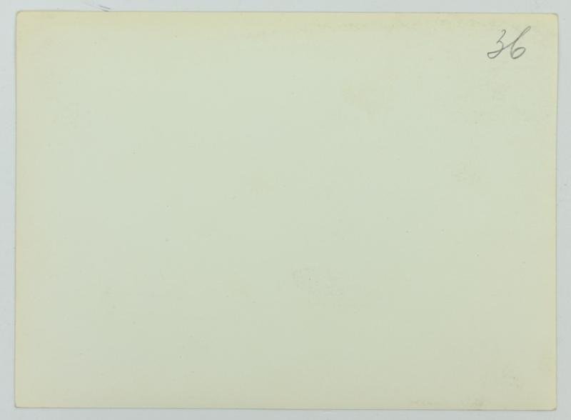 Dutch NSB Picture — image 5