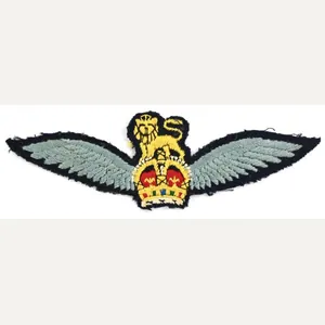 British WW2 Airborne Glider Wing