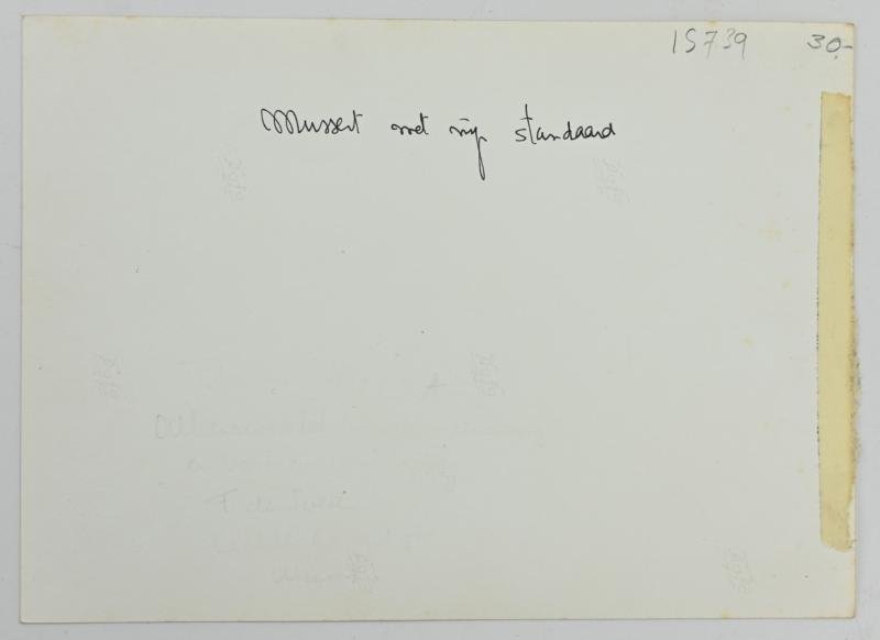 Dutch NSB Press Photo 'Mussert and his Flag' — image 4