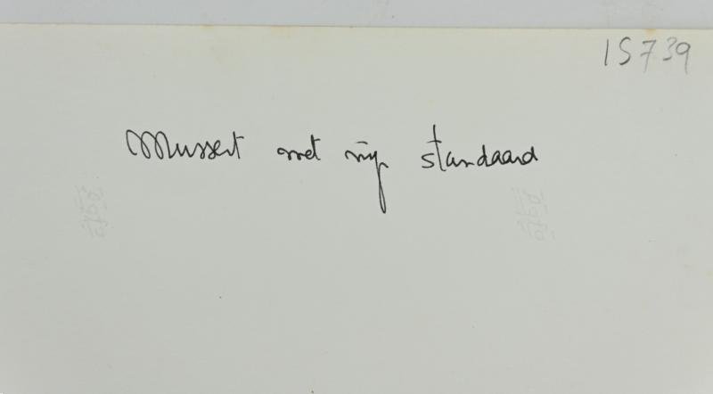 Dutch NSB Press Photo 'Mussert and his Flag' — image 5