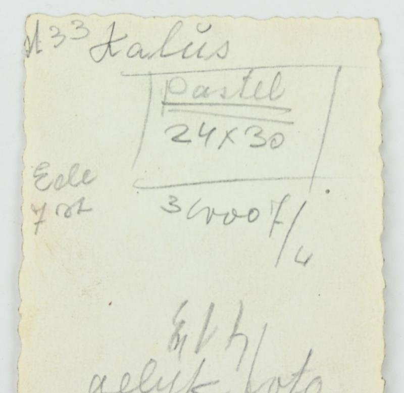 Dutch Waffen-SS Picture 'Vogelsang' — image 5