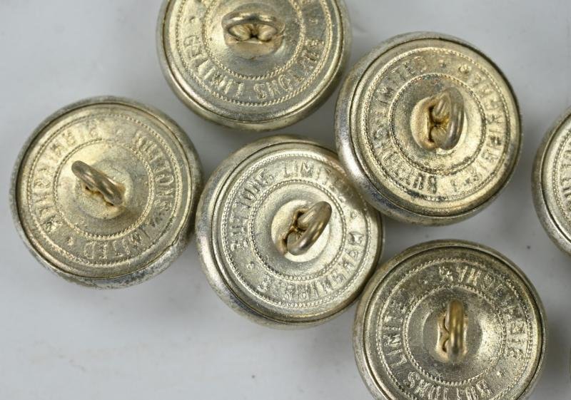 Polish WW2 Dress Button Set — image 5