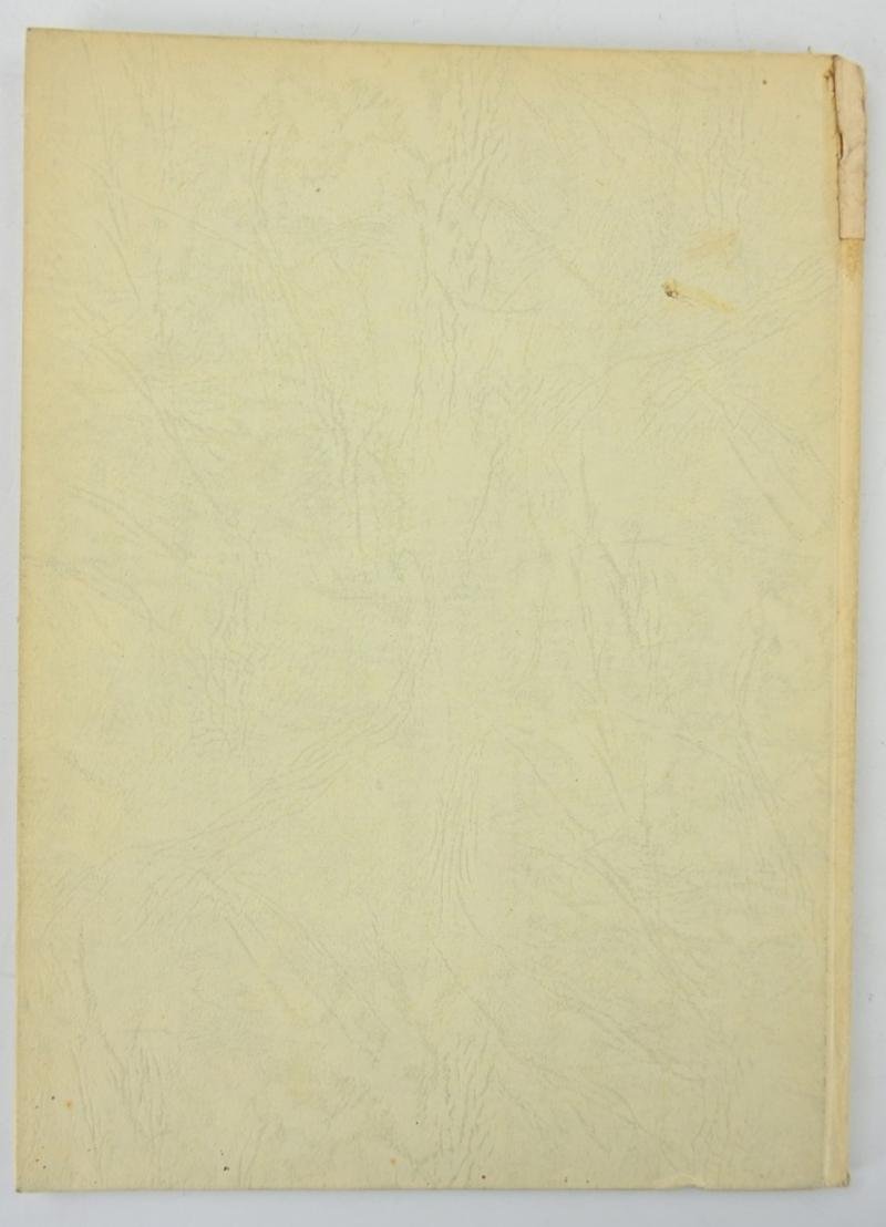 German Book: 'Das Antlitz des Führers' — image 8