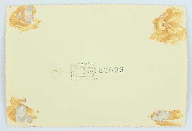 German LW FSj Picture — image 4