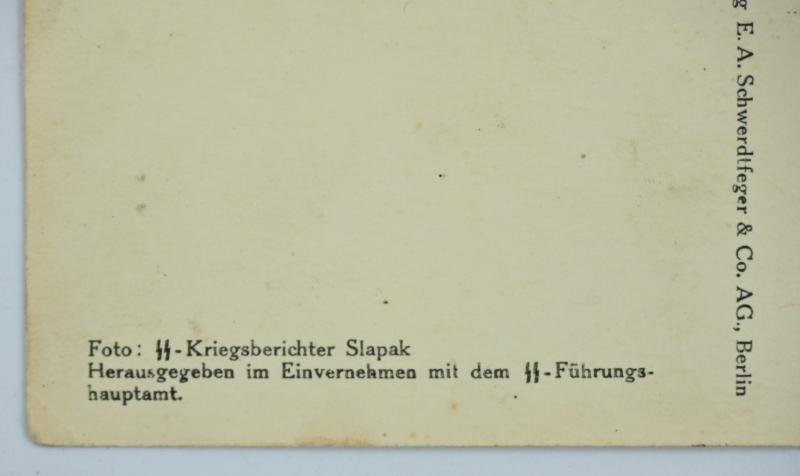 German Waffen-SS Postcard GBJ Division ''Nord'' — image 3