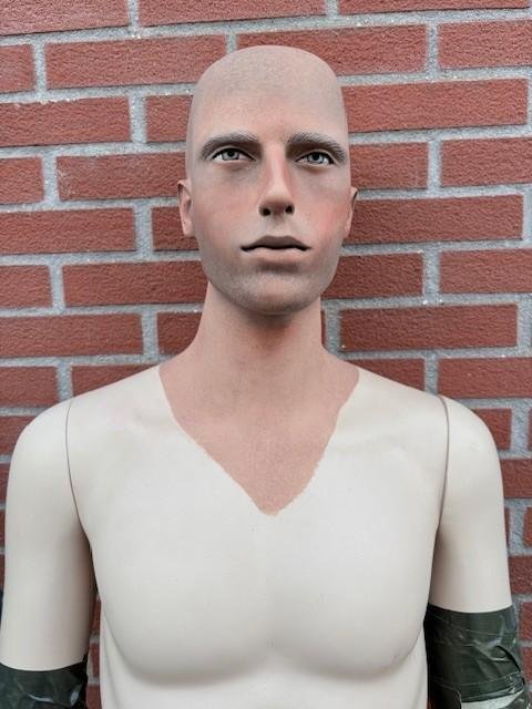 Stunning Painted Male Mannequin — image 2