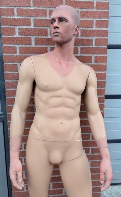 Stunning Painted Male Mannequin — image 2