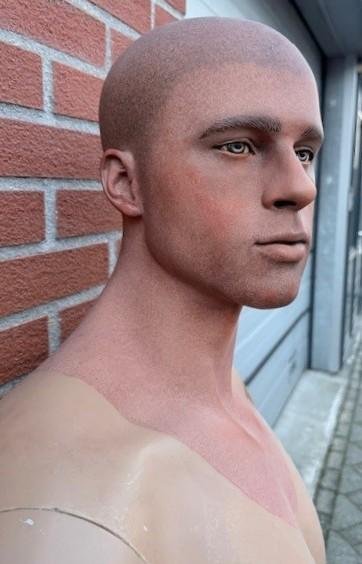 Stunning Painted Male Mannequin — image 7