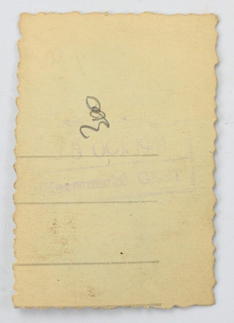 German Waffen-SS Portrait Picture — image 2