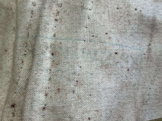 8) Unusual Pre WW1-WW1 British/US Military Rubberised Waterproof Gaiters — image 3