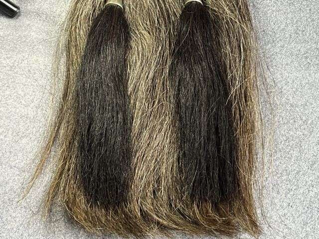 86) Lovely Original Unissued WW1 London Scottish Sporran With Id to 7362 E.Y.Morrison 1916 — image 14