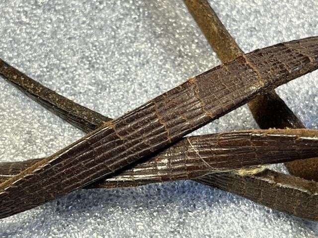 106) Good Original WW1 French Made British Army Officers Small Field Glasses and Case — image 2