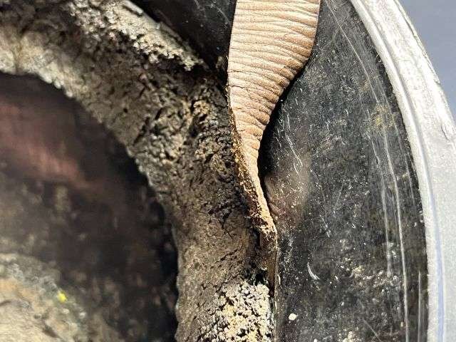 25) Excellent Original WW2 British Home Front Bakelite Protective Helmet Unusual Pattern — image 5