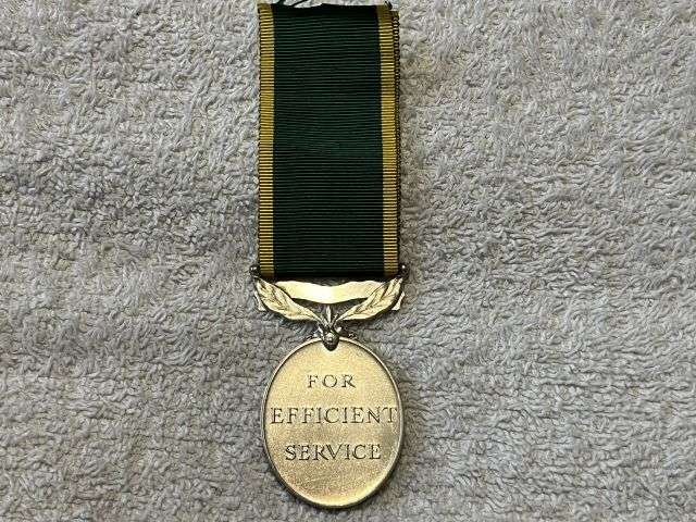 23) Lovely Original Full Size GRVI Territorial Efficiency Medal Named 550711 Pte J.D.Leach Royal Hampshire Regiment — image 4