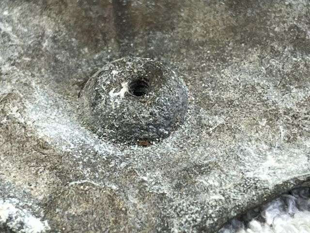 72) Excellent Original WW2 German Adolf Hitler Alloy Head From Door or Wall? — image 9