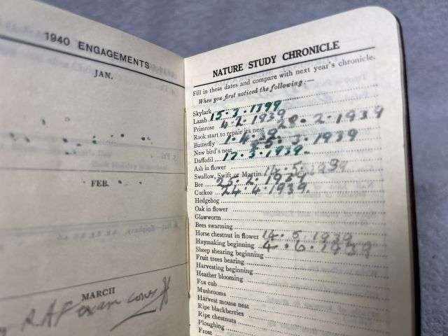 56) Excellent Original Collection of Pre WW2 Boy Scouts Cloth Badges & Diaries 1937-1939 — image 4