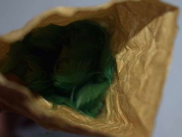 4) Unidentified WW1 WW2 British Army Black & Green Regimental Feather Hackle In Original Wrapping — image 5