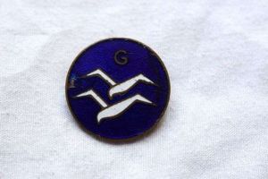 74) Nice Original 1930s British Glider Proficiency Badge in Enamel