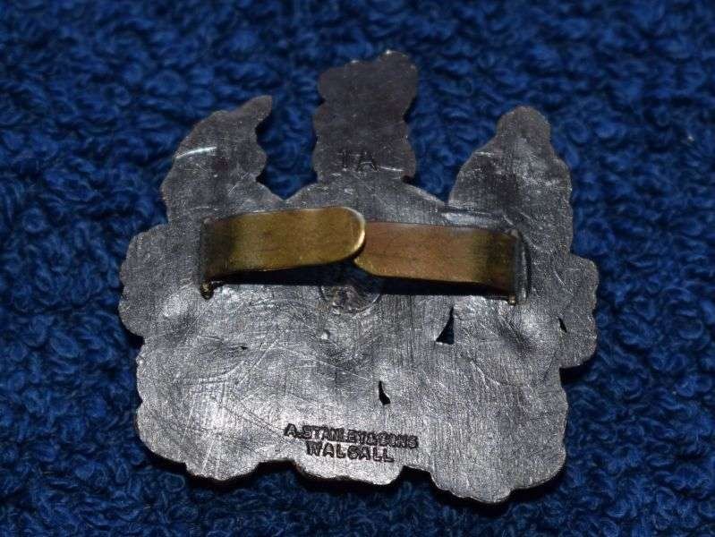 62) Excellent Original WW2 Wartime Economy Plastic General Service Cap Badge — image 2