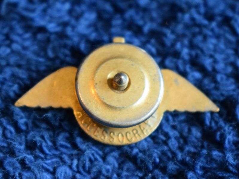 88) Very Nice Original WW2 British War Relief Society RAF Wings Pin Badge — image 4