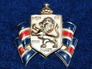 86) Excellent Original WW2 British War Relief Society Large Pin …