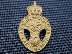 149) Excellent Original WW1 Board of Agriculture Land Worker Pin …