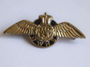 137) Excellent Original WW2 British War Relief Society RAF Wings …