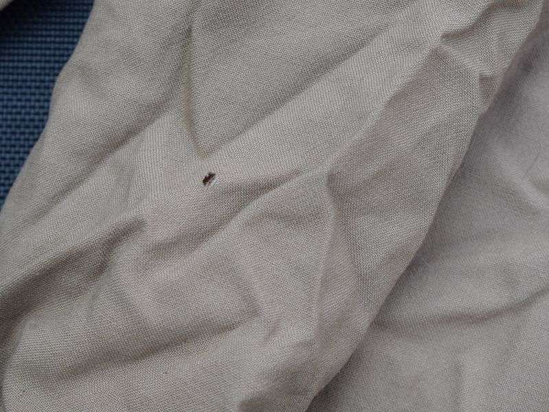 75) Original WW2 US Army Khaki Tropical Worsted Service Jacket to a Lt Col — image 3