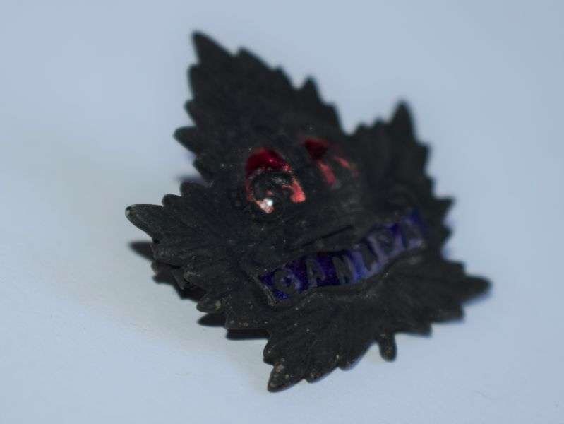 34) Original WW1 WW2 Canadian Sweetheart Brooch In an Unusual Matt Black Colour — image 3