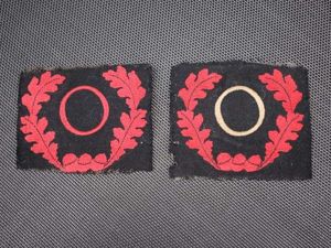 139) Unidentified Pair of Large Vintage Cloth Badges German?