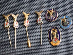 53) Small Collection of 7 Post WW2 RAF Association Pin …